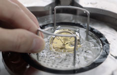 帕玛强尼(Parmigiani)表维修