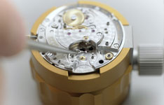 帕玛强尼保养维修