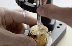 帕玛强尼售后热线电话